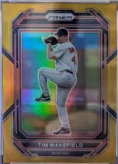 Tim Wakefield [Gold] #206