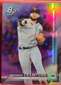 Brandon Crawford [Purple] #41