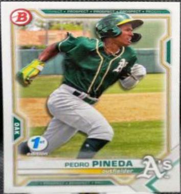 Pedro Pineda #BD-65