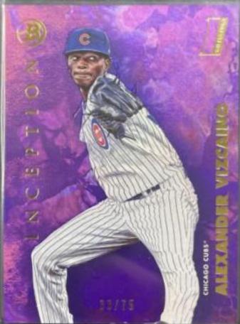 Alexander Vizcaino [Fuchsia Foil] #44