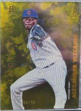 Alexander Vizcaino [Gold Foil] #44