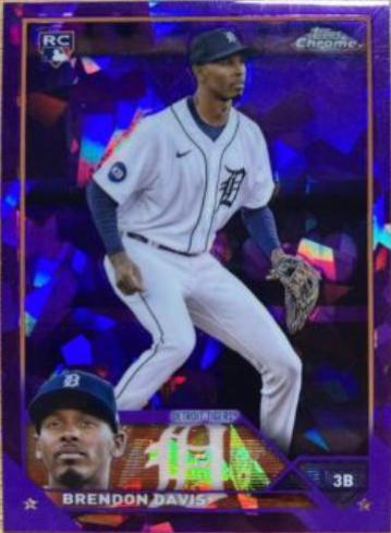 Brendon Davis [Purple] #494