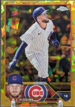 P. J. Higgins [Gold] #338