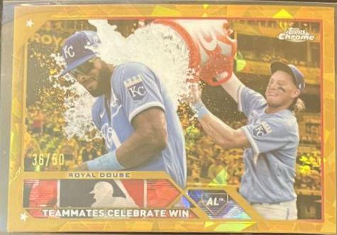 Royal Douse [Gold] #334