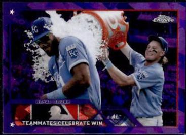 Royal Douse [Purple] #334