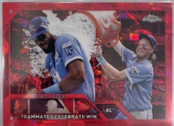 Royal Douse [Red] #334