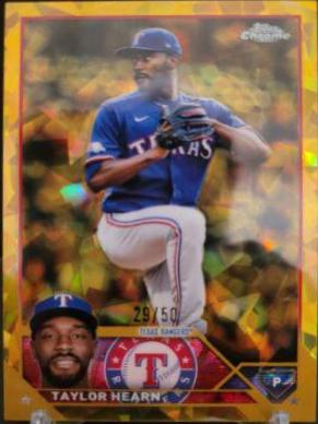 Taylor Hearn [Gold] #354