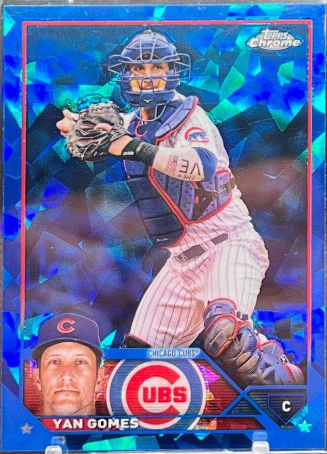 Yan Gomes #569