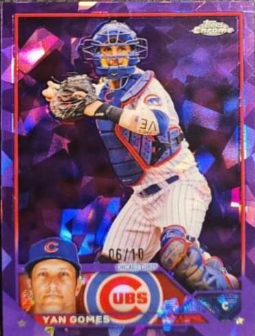 Yan Gomes [Purple] #569
