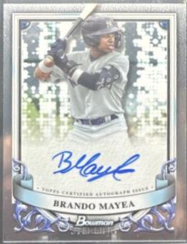 Brando Mayea #PA-BMY