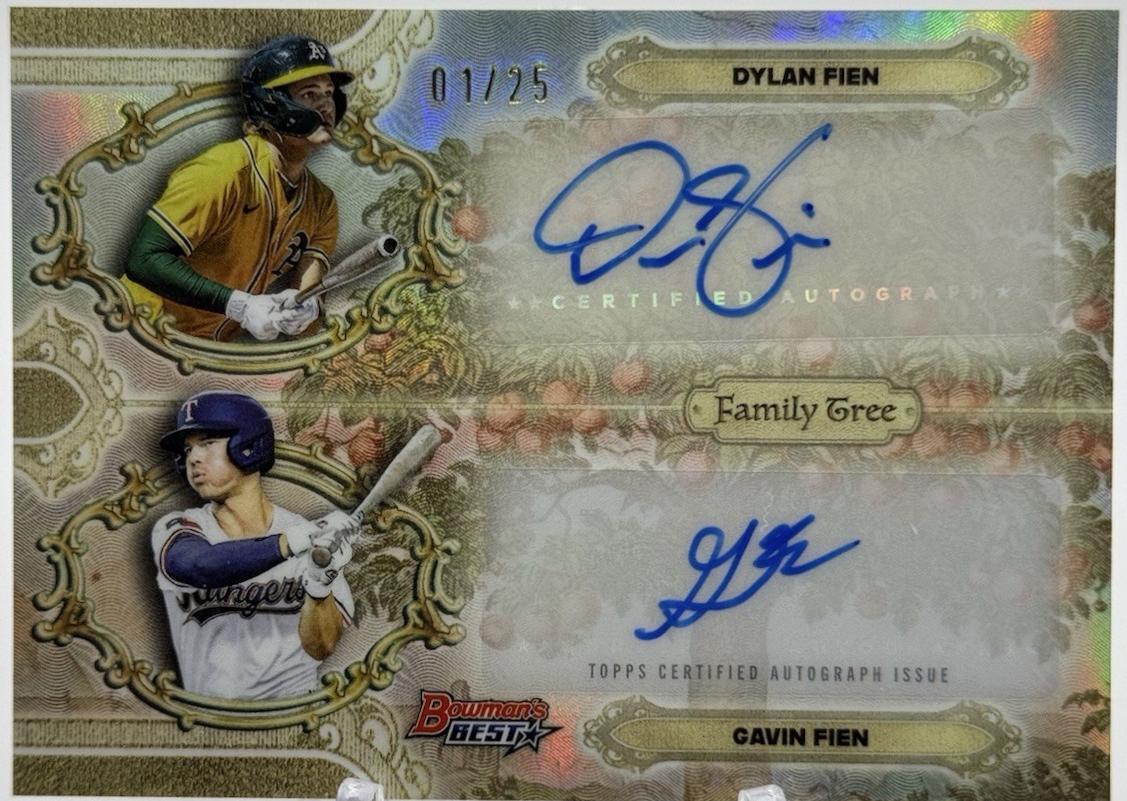 Gavin Fien / Dylan Fien #FDA-FI