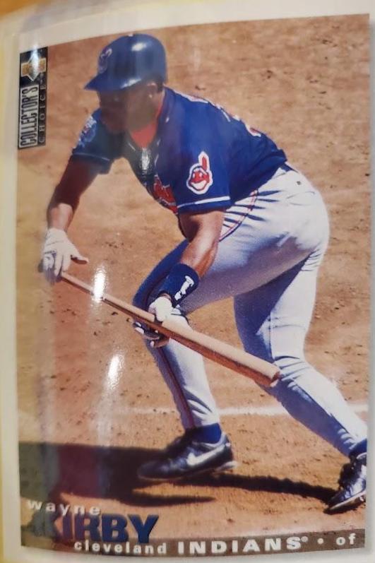 Wayne Kirby #276