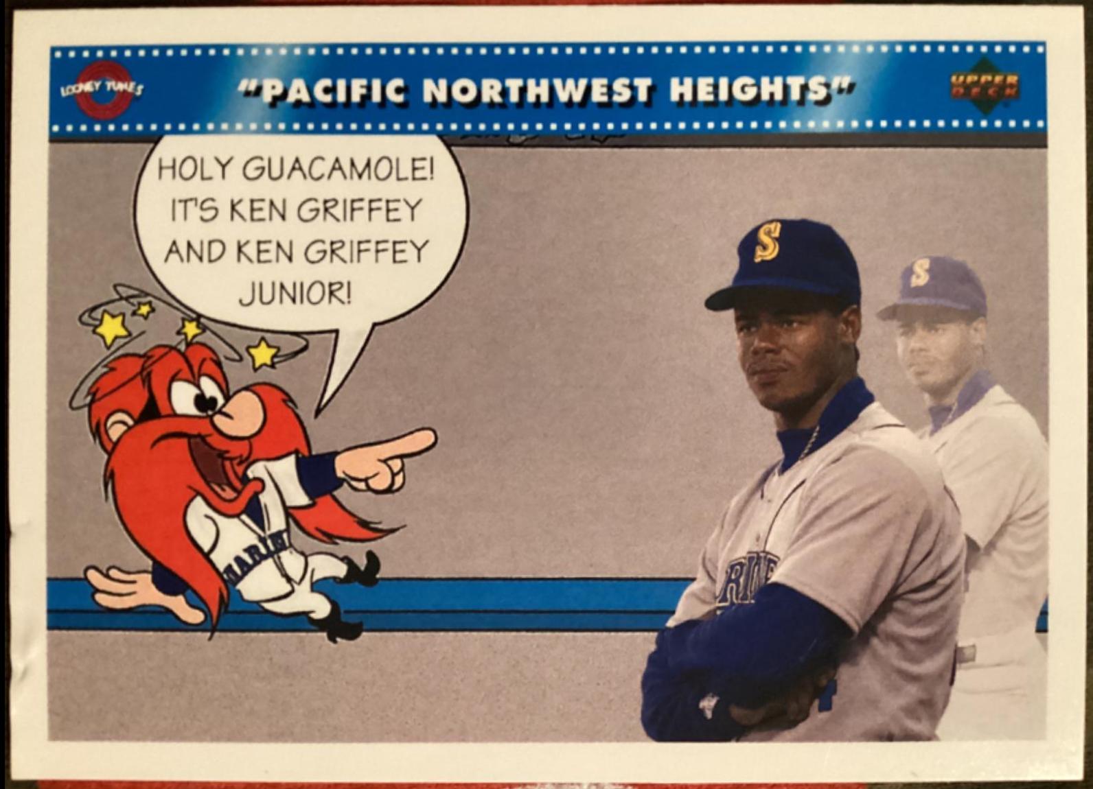 Pacific Northwest Heights #89