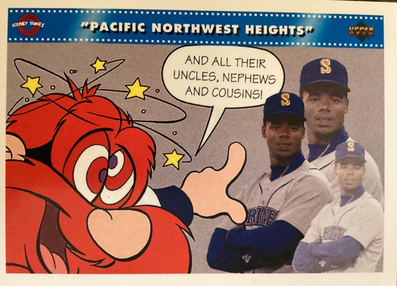 Pacific Northwest Heights #90
