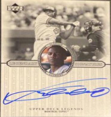 Vladimir Guerrero #S-VG