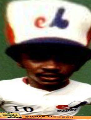 Andre Dawson #69
