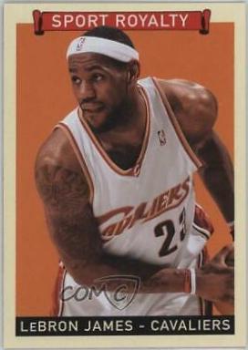 LeBron James #313