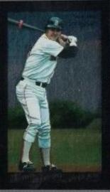 Carl Yastrzemski [Mini Foil] #119