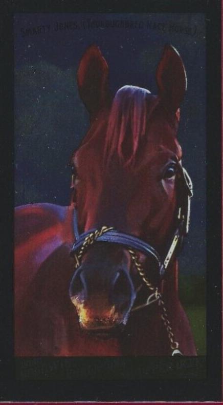 Smarty Jones [Mini] #115