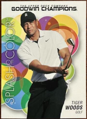 Tiger Woods #102