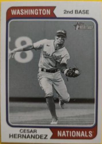 Cesar Hernandez [Black & White Image Variation] #45
