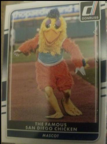San Diego Chicken #151