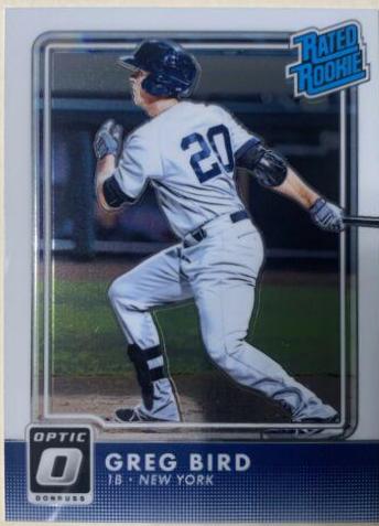 Greg Bird #41