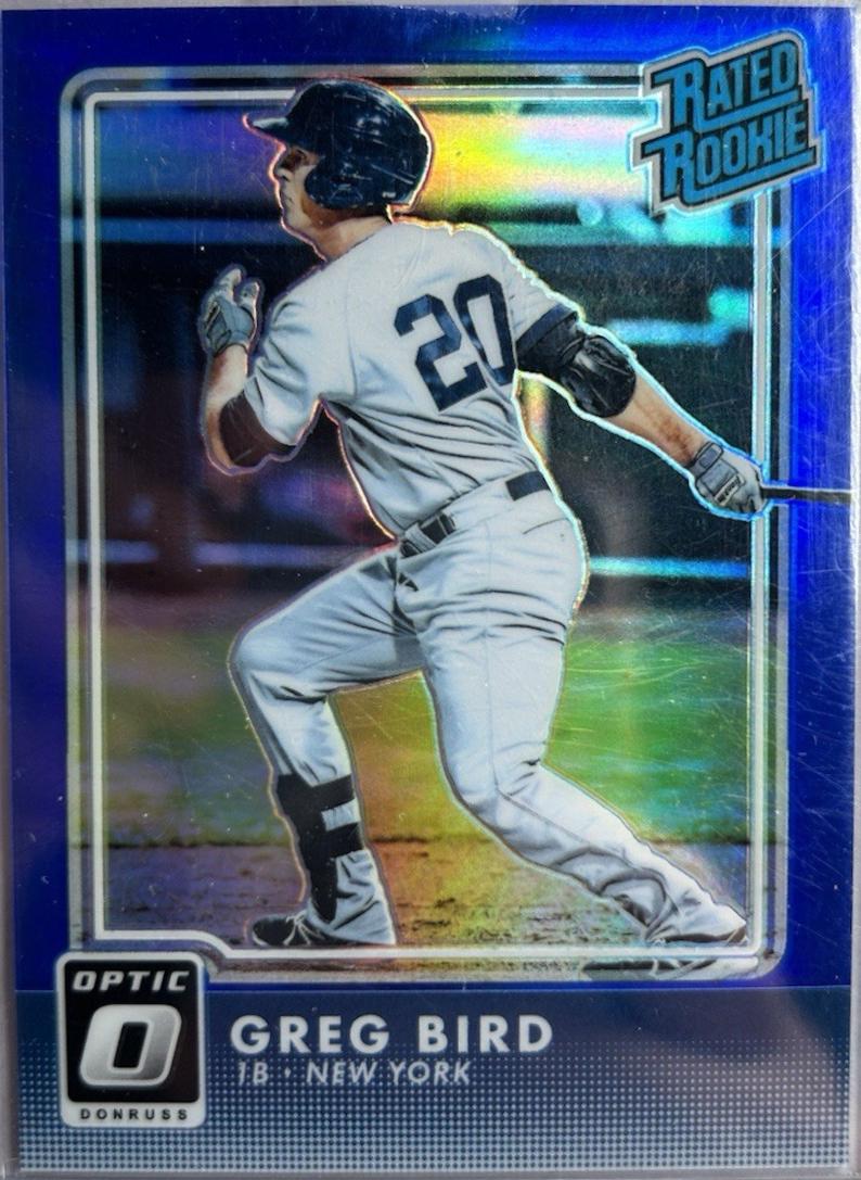 Greg Bird [Blue] #41