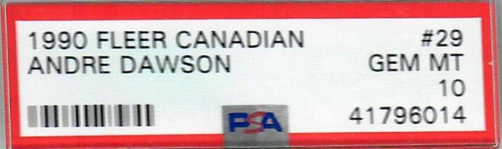 Andre Dawson #29