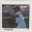 Vida Blue