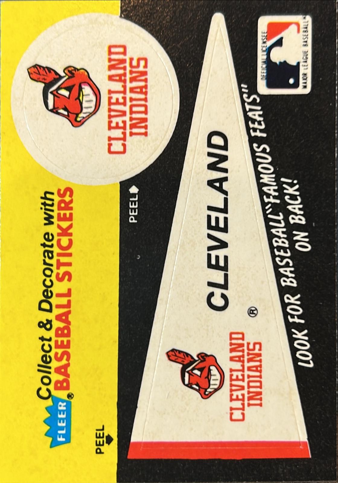 Cleveland Indians Pennant