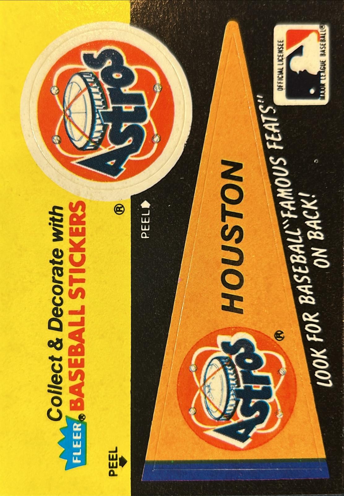 Houston Astros Pennant