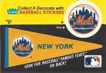 New York Mets Pennant