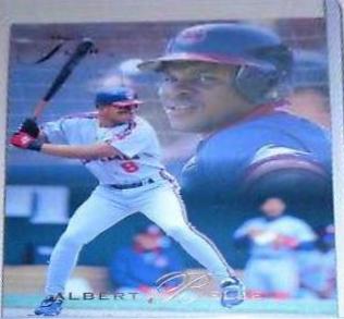 Albert Belle #192