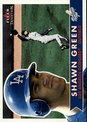 Shawn Green #196
