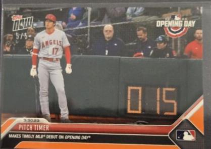 Pitch Timer [Orange] #13