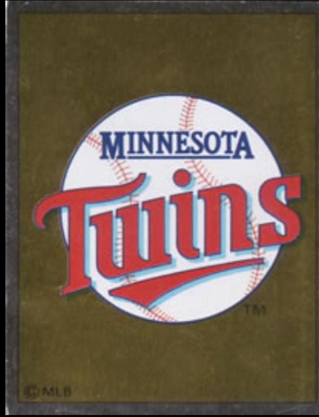Twins Logo #130
