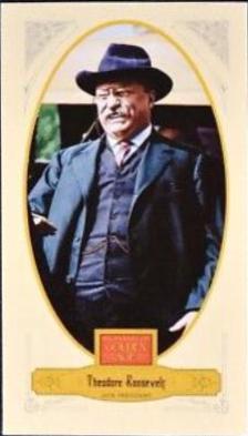 Theodore Roosevelt #4