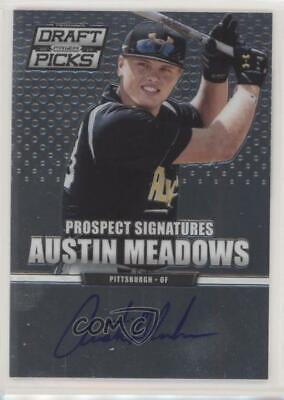 Austin Meadows #9