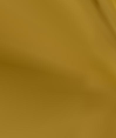 Rougned Odor [Timeless Tributes Gold] #190