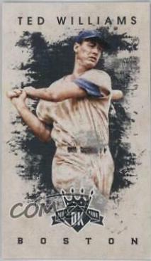 Ted Williams [Mini Black] #21