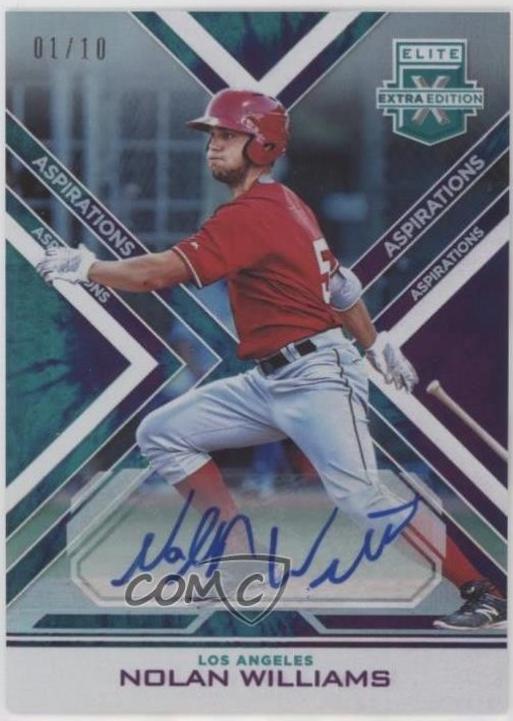 Nolan Williams [Autograph Aspirations Tie Dye] #104