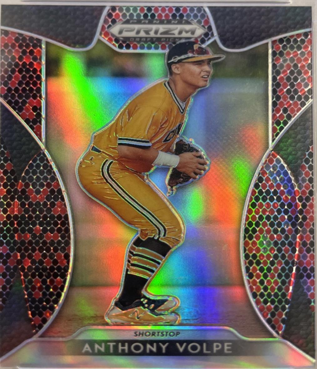 Anthony Volpe [Red, Black Snakeskin Prizm] #69