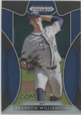 Brandon Williamson [Blue Prizm] #39