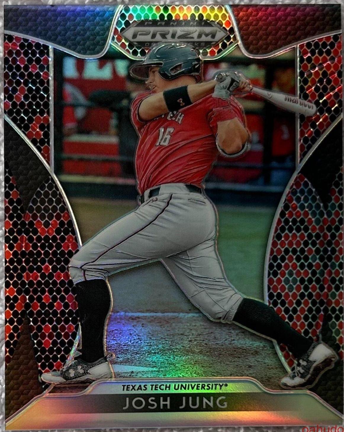Josh Jung [Red, Black Snakeskin Prizm] #10