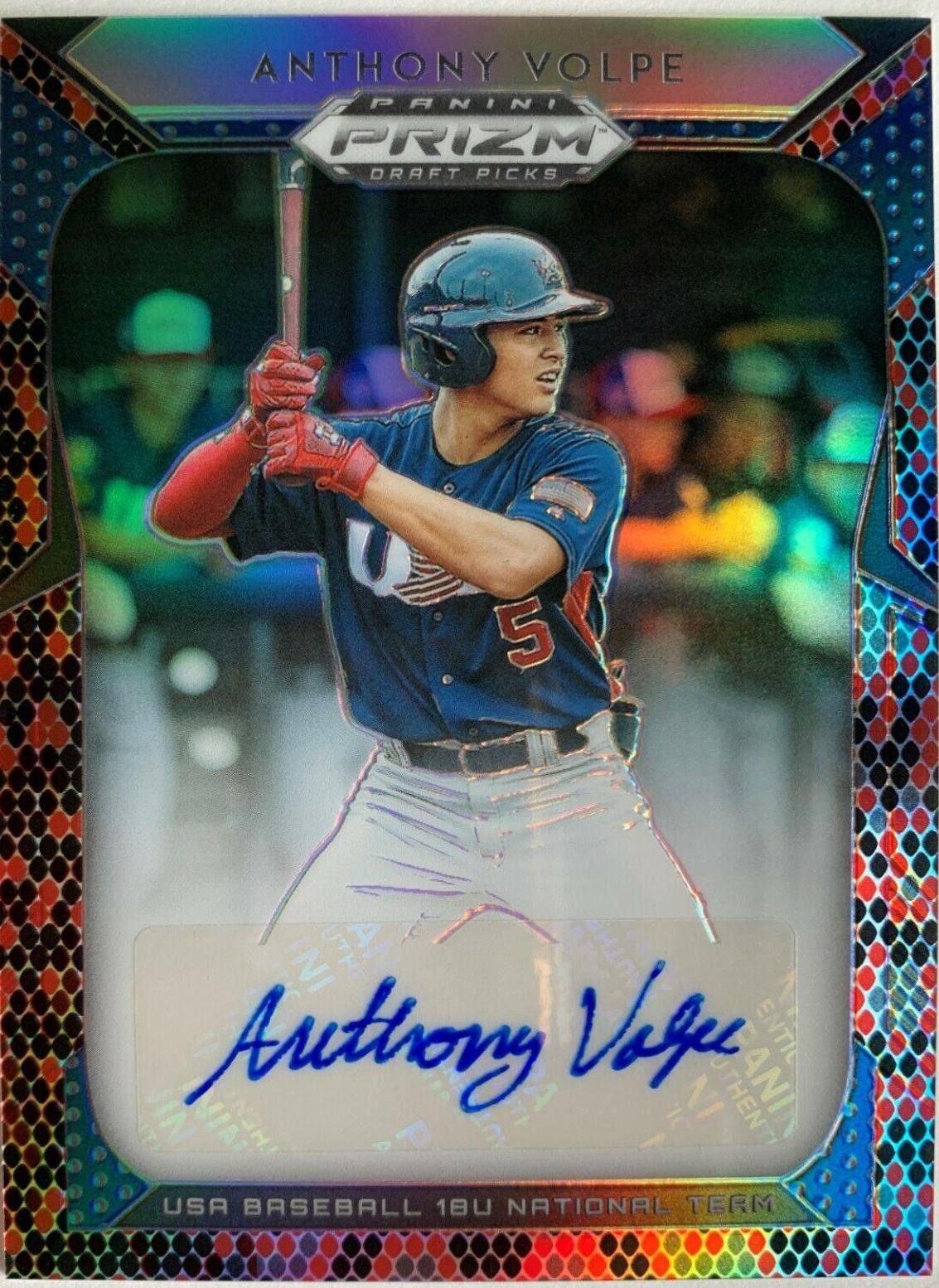 Anthony Volpe [Red, Black Snakeskin Prizm] #61