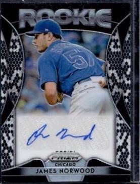 James Norwood [Snake Skin Prizm] #RA-JN