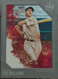 Ted Williams [Gray Frame] #34