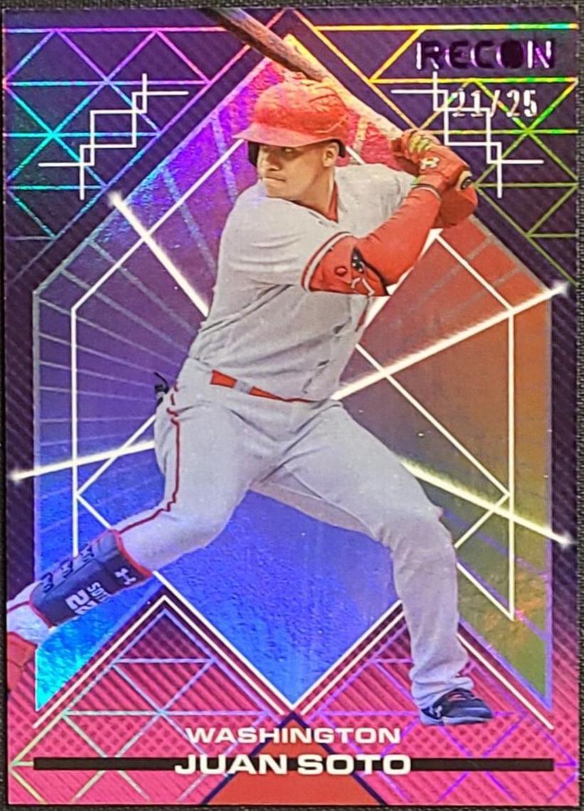 Juan Soto [Purple] #17