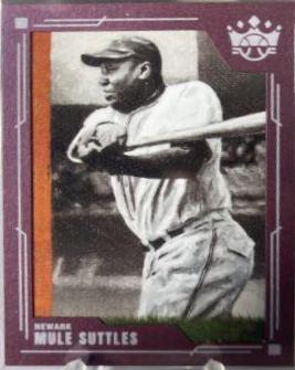 Mule Suttles [Plum Frame] #64
